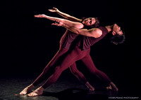 Sokolow Dance/Theater Ensemble